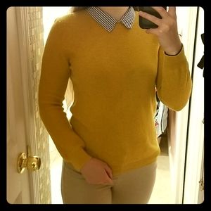 Collared sweater